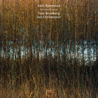 Remembrance V - Ketil Bjørnstad & Tore Brunborg & Jon Christensen