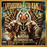 Outro - Cappadonna & Stu Bangas & Darryl Hill