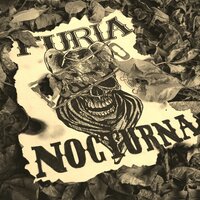Revolviendo Cenizas - Furia Nocturna