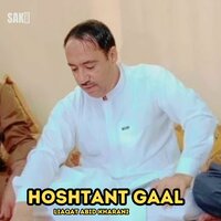 Ho Bewafa - Liaqat Abid Kharani