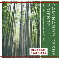 Namastê - Asia Meditação