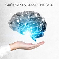 Trouver l'équilibre - Ensemble de Musique Zen Relaxante