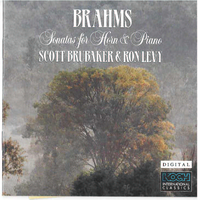 Sonata In E Flat Major, Op, 120, No. 2:: III: Andante Con Moto - Scott Brubaker & Ron Levy