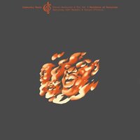 Booker Time - Steven Bernstein & The Hot 9 & Steven Bernstein