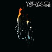 Science Of The Beat - Sare Havlicek