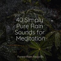 Seagulls on the Beach - 125 Nature Sounds & Ocean Sounds & Powerthoughts Meditation Club