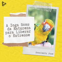 Metafísica - Sonolento Jose & Academia de Música para Massagem Relaxamento & Massagem