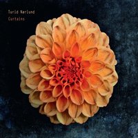 The Town Is Easy - Søren Bigum & Turid Nørlund & Kristian Westergaard & Ørnholt Bøtker & Kasper Söderlund