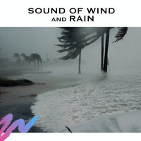 Sound of Wind and Rain (Loopable) - Baby Sleep Spot & Sound of Wind and Rain & Rain Storm Sample Library