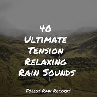 Gentle Creek - Lullaby Rain & Pro Sound Effects Library & Relajantes sonidos de lluvia
