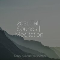 Trees of Tranquility - Studying Music & Reiki Music & Kings of Nature