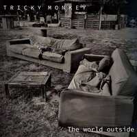 The World Outside - Tricky Monkey