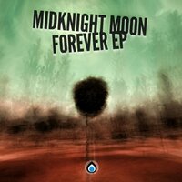 Get Down - Midknight MooN