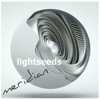 Reflection of Consciousness - Lightseeds