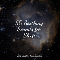 Sands of Time - Music to Relax in Free Time & Sonido de lluvia & The Relaxing Sounds of Swedish Nature
