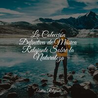 Soñadora - Música de la Naturaleza & Sueños Triplete & Sueño Lucido