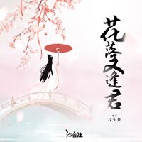花落又逢君 - 浮生梦 & DJlucky小阳