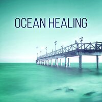 Going Home - Chakra Music Zone