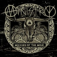 Walrus - MINISTRY