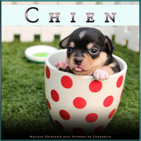 Musique Relaxante pour Animaux de Compagnie - Musique pour Chiens & Musique D'ambiance Pour Les Chiens & La Musique Pour Chiens