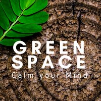 Green Tea - Simple Serenity & Meditation Masters & Meditation Masters & Simple Serenity