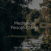 Calm Renewed - Best Kids Songs & Zarobi