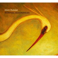 Garden, Ashes (performed by Kaoru Watanabe and Marco Cappelli) - Adam Rudolph