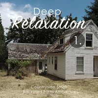 Countryside Small Backyard Farm Ambience, Pt. 18 - Craig Hewitt