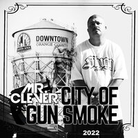 Gun Play - Mr. Clever