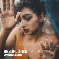 Cloudy Sky - Rain Sounds FX & Outdoor Field Recorders & Massage Therapy Music