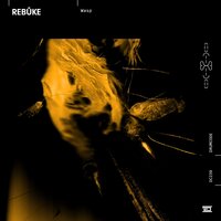 Wasp - Rebuke