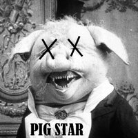 Pig Pen - Stubbs
