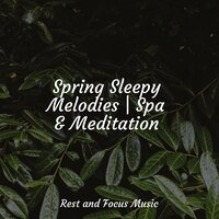 Fortress Fountain - Ambiente & Bedtime Baby & Sleep Waves