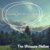 Mystic Canopy of Calm - The Ultimate Mellow