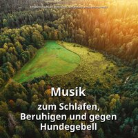 Entspannungsmusik zum Lernen - Entspannungsmusik Armin Sindt & Schlafmusik & Entspannungsmusik
