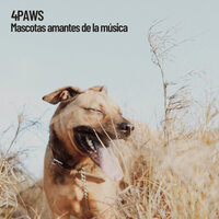 Relajante baño gatuno - Cat Music & Pet Care Club & Music for Dog's Ears