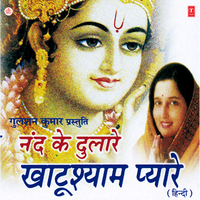 Re Manwa Ga Le Shyamdhani Ke Gun Ga Le - Anuradha Paudwal & Dilip Sen-Sameer Sen & Anand Raj Anand
