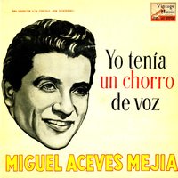 Yo Tenía Un Chorro De Voz B.S.O - O.S.T From The Film "Tal Para Cual" (Ranchera) - Miguel Aceves Mejia & Marachi Vargas De Tecalitlán