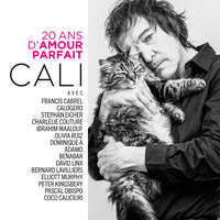 C'est quand le bonheur ? - Cali & Francis Cabrel