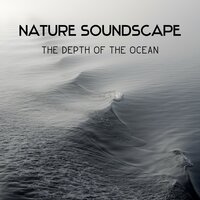 Balance Is Your Natural State - Harmony Nature Sounds Academy