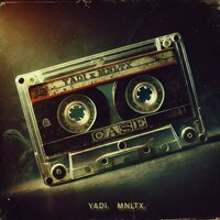 Case - Yadi & MNLTX
