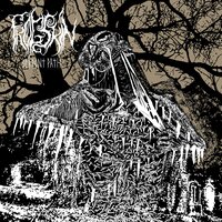 Serpent Path - Frogskin