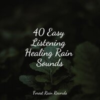 Tranquil Waves - Childrens Music & Rain Sounds Collection & Life Sounds Nature