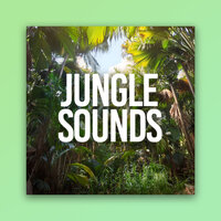 The Rainy Season - Nature Sounds Nature Music