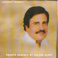 Dar Pa Dar - Gulzar Alam