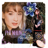 Đời không như là mơ - Phi Nhung
