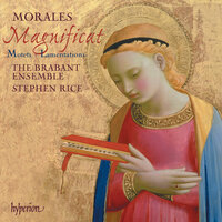 Morales: Coph. Vocavi - The Brabant Ensemble & Stephen Rice