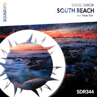 South Beach - David Surok