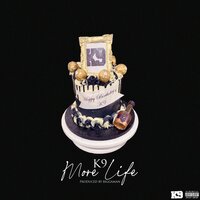 More Life - k9