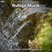Entspannung - Entspannungsmusik Archiv & Schlafmusik & Entspannungsmusik